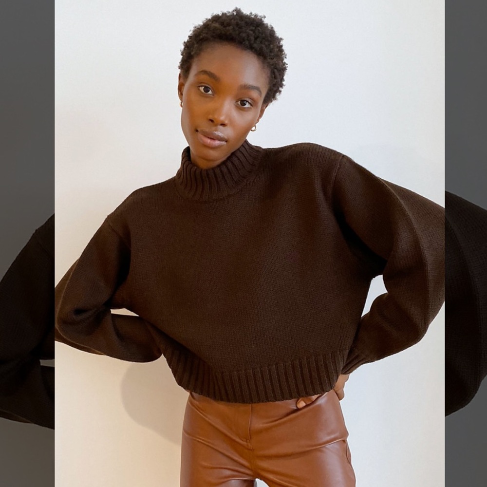 NWT Aritzia Wilfred Cropped Sweater Plum